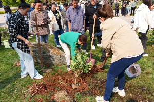 3·12植树节“植”此青绿，拥抱春天 第 2 张