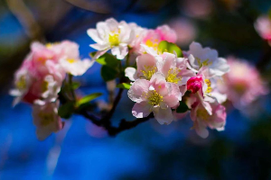3·12植树节“植”此青绿，拥抱春天 第 3 张