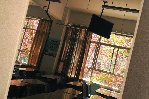 “春”风千里，“分”至沓来，邂逅经管的春天 第 6 张