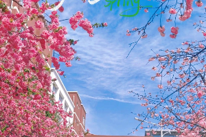 “春”风千里，“分”至沓来，邂逅经管的春天 第 2 张